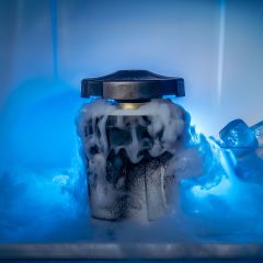 zeus iceborn V2 with Ice